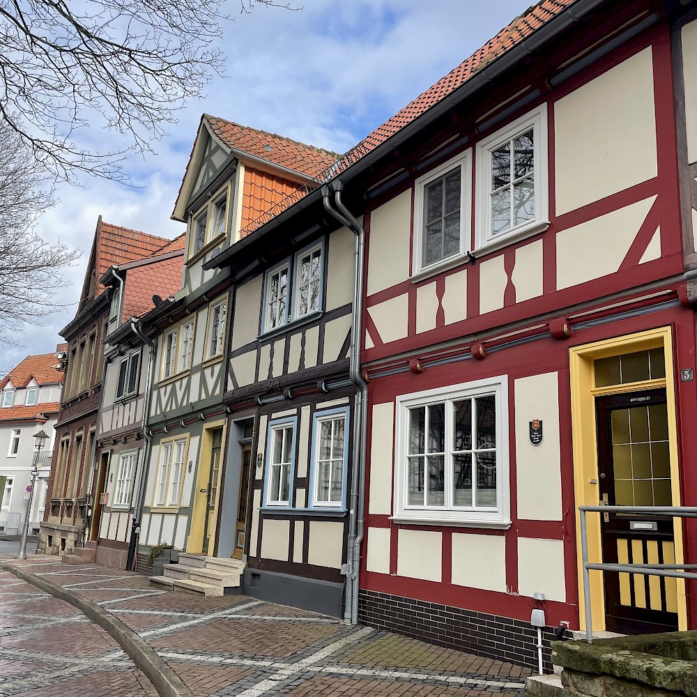 Bildbeitrag f24eg